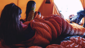 Tramp